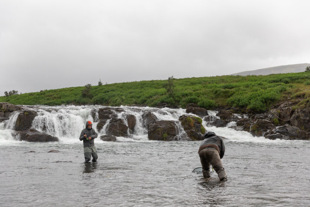 Laxa I Kjos, Iceland, Aardvark McLeod