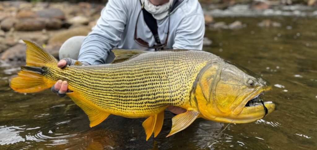 Bolivia, Tsimane 2025 season fishing reports, Agua Negra, Aardvark  McLeod 