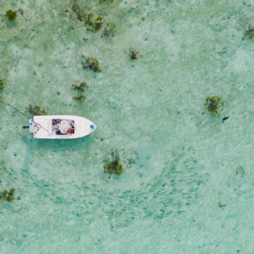 Soul Fly Lodge, Aardvark McLeod, Bahamas