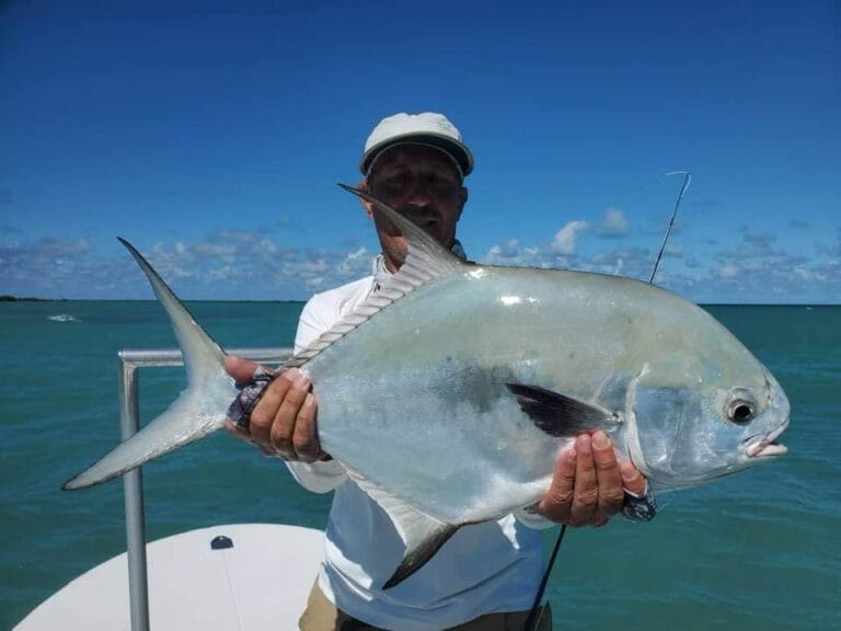 Cuba hosted trip, Alex Jardine, Aardvark McLeod