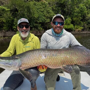 Pirarucu 2025 fishing reports