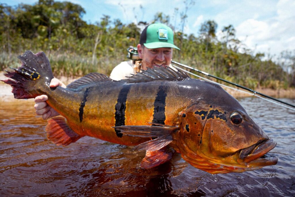 Brazil, peacock bass, Rio Marie 2025 fishing reports, Aardvark McLeod 