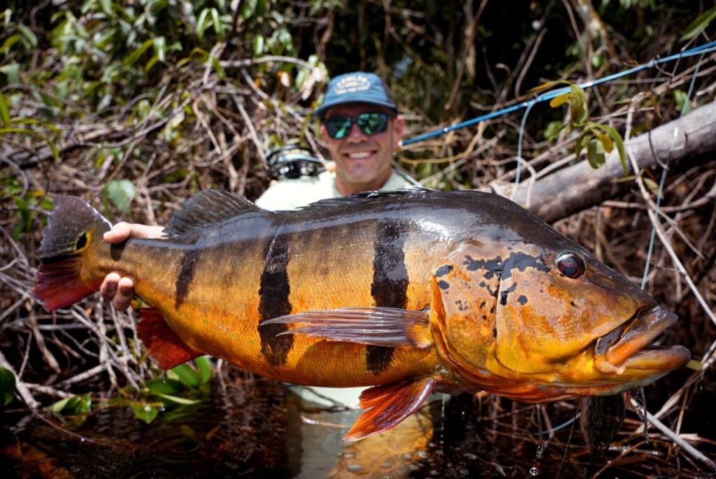 Brazil, Peacock bass, Rio Marie, fishing reports 2025, Aardvark  McLeod 