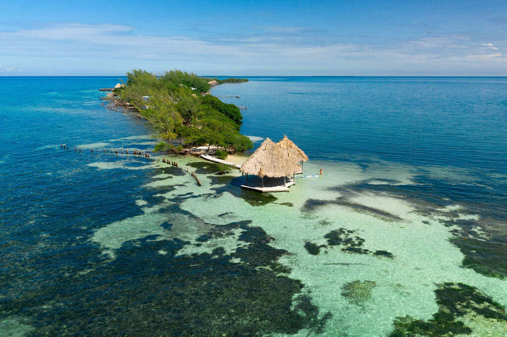 Thatch Caye Lodge, Aardvark McLeod