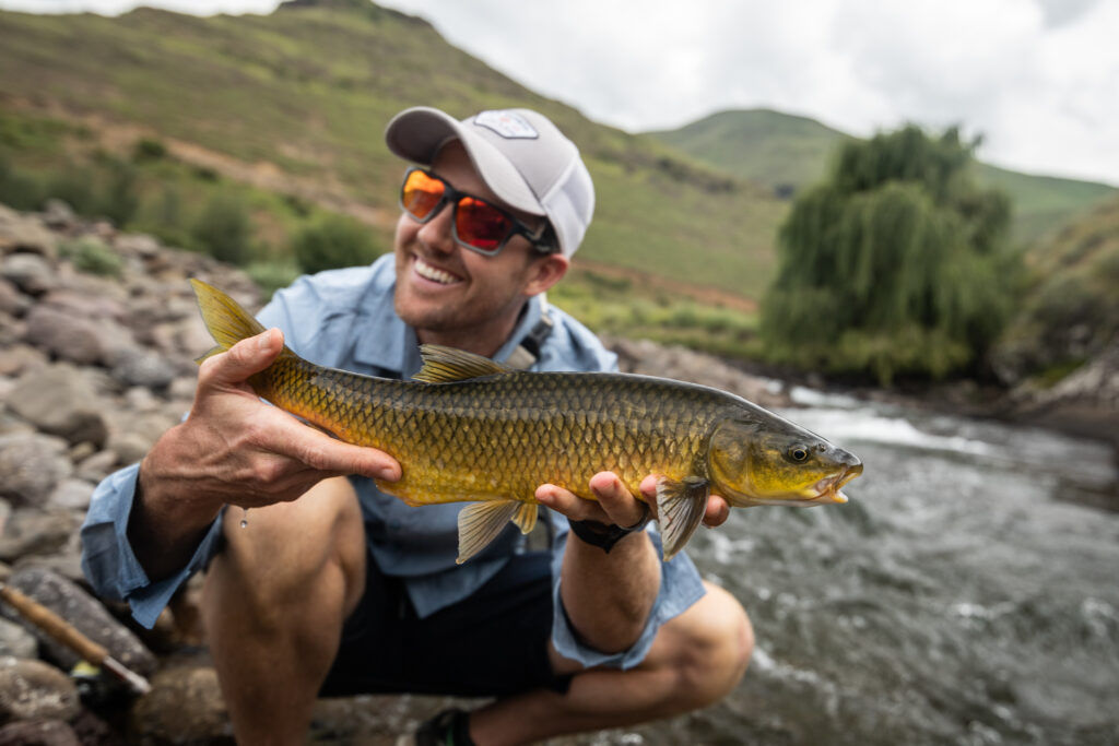 Makhangoa Community Camp - Summer is coming, yellowfish, Aardvark McLeod 