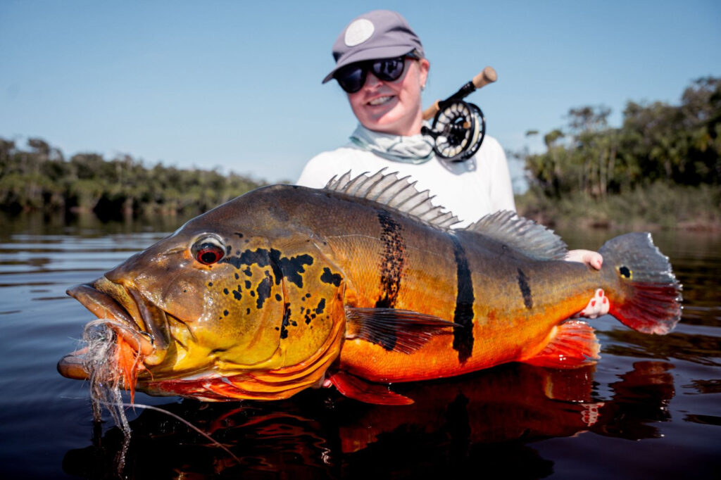 Brazil Peacock bas, Rio Marie 2025 fishing reports 