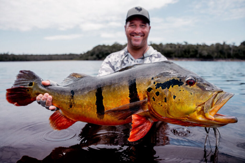 Brazil, peacock bass, Rio Marie fishing reports 2025, Aardvark McLeod 