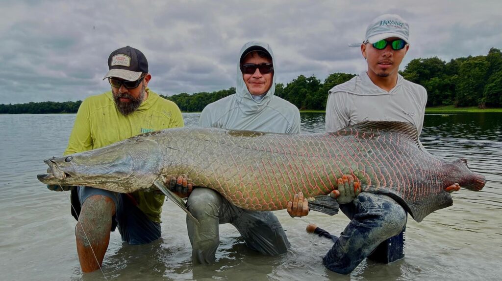 Brazil, Pirarucu Lodge 2025 season fishing reports, Aardvark McLeod 