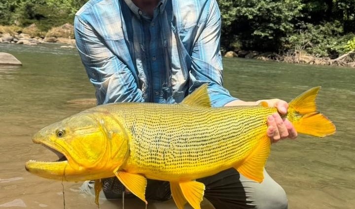 Bolivia, Tsimane 2025 season fishing reports, Pluma Lodge, Aardvark  McLeod 