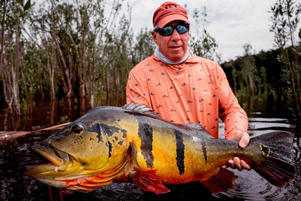 Brazil, peacock bass, Rio Marie 2025 fishing reports. 