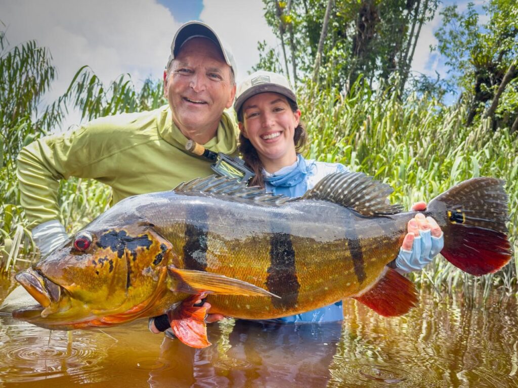 Brazil, peacock bass, Rio Marie 2025 fishing reports, Aardvark  McLeod 