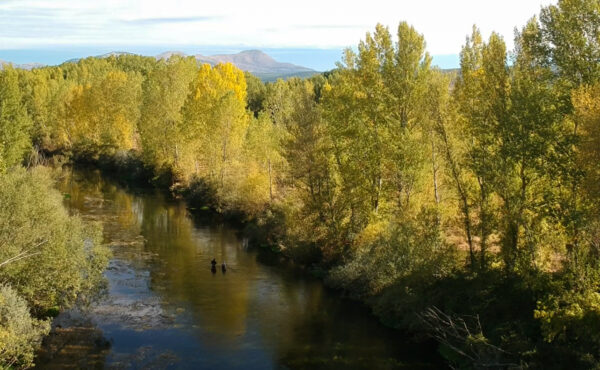 Rio Esla, Leon