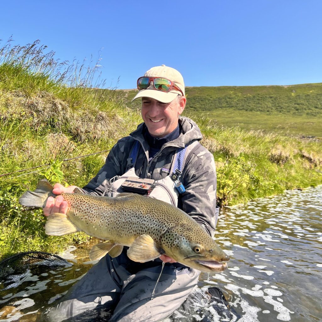 Laxardal, Iceland, Aardvark McLeod