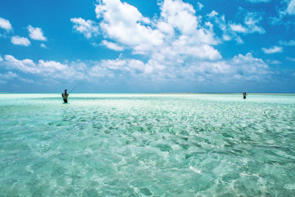 Alphonse Island. luxury fishing lodge, Aardvark McLeod 