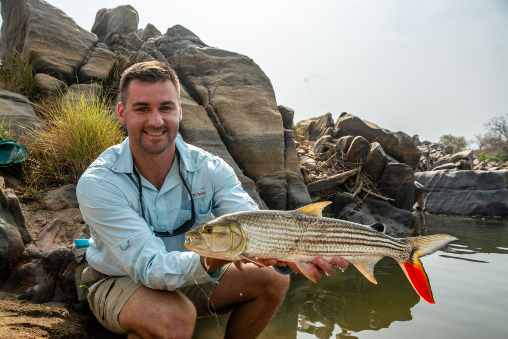 Cameroon, Gassa Camp, limited availability 2026 season, Aardvark McLeod 