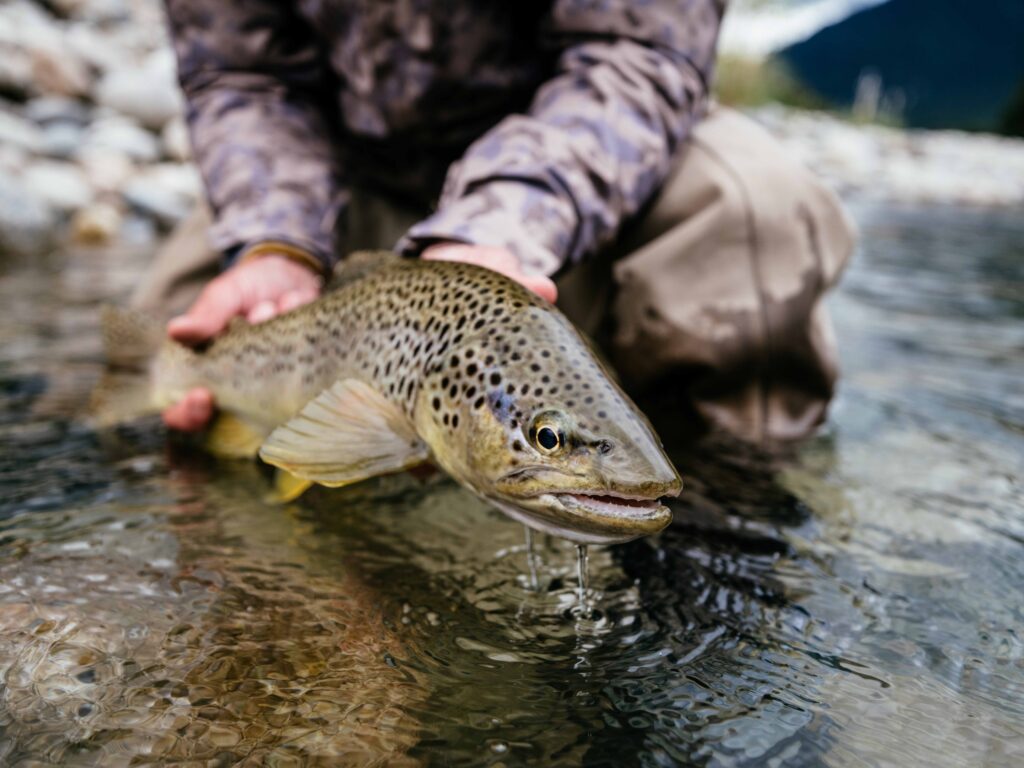 New Zealand and Chile, season never stops, Martin Pescador Lodge, trout, Aardvark McLeod 