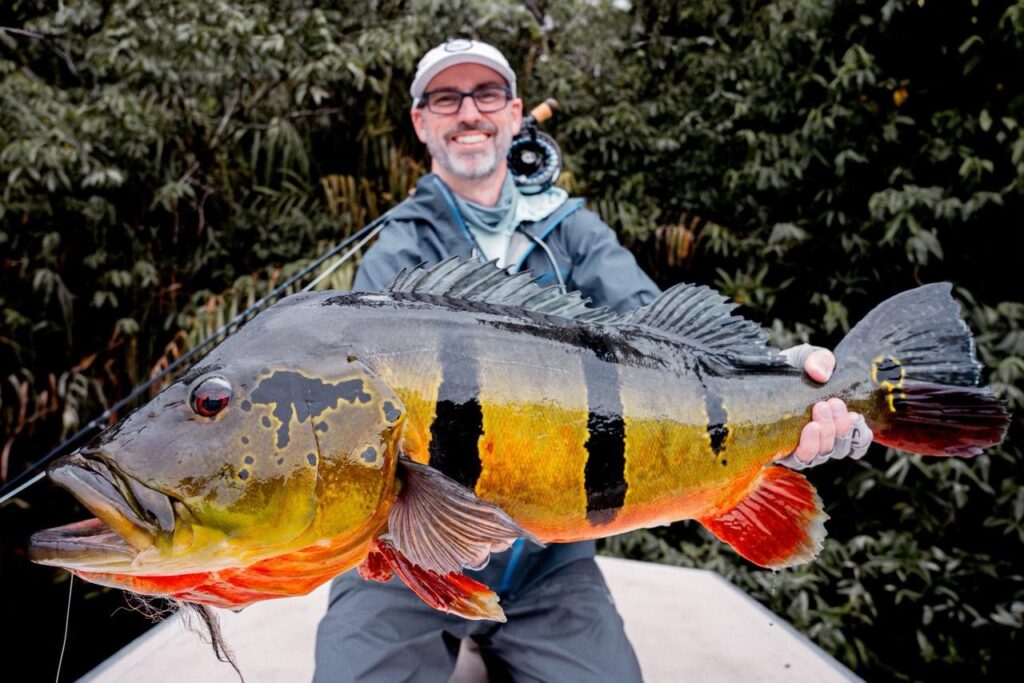 Brazil, peacock bass, Rio Marie 2025 fishing reports, Aardvark McLeod 