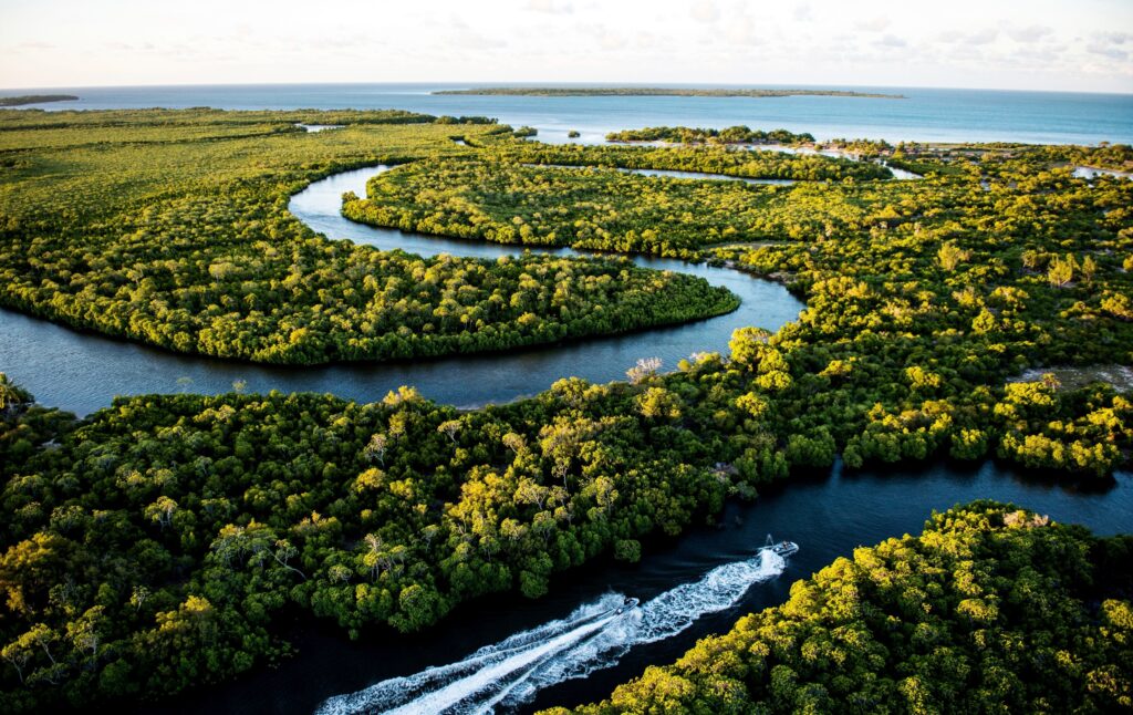 Fish from the world's finest lodges, Miavana, Madagascar, Aardvark McLeod 