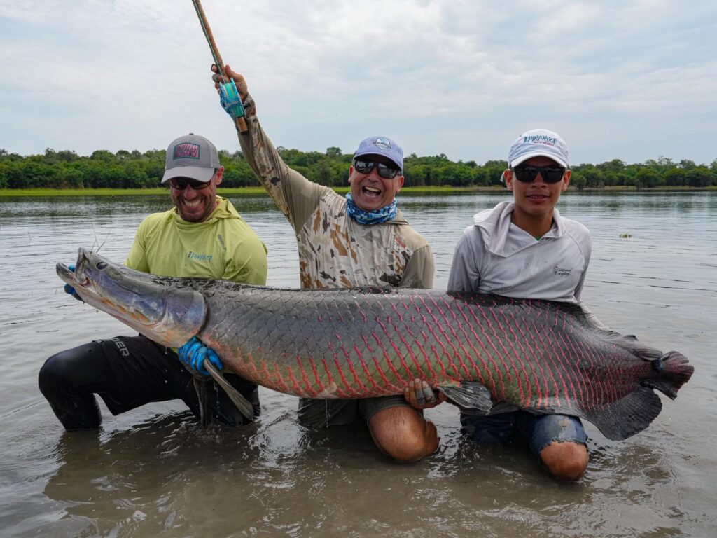 Brazil, Pirarucu Lodge 2025 end of season round up, Aardvark McLeod 