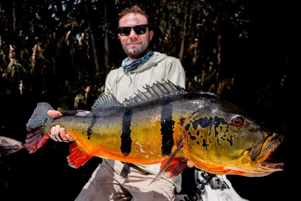 Brazil, peacock bass, Rio Marie 2026 fishing reports, Aardvark McLeod 