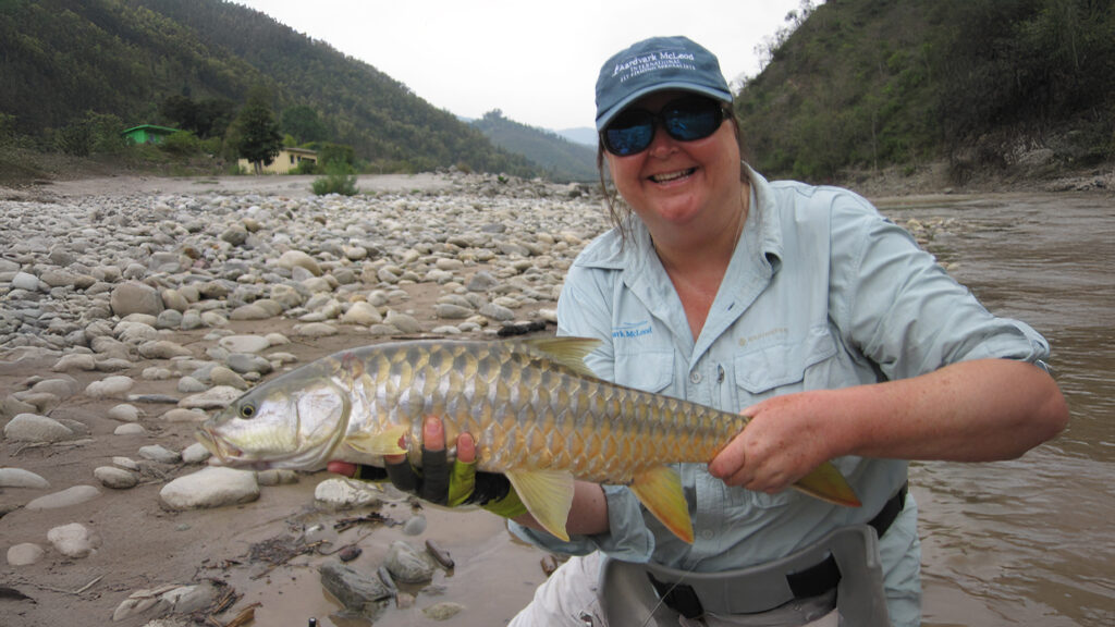 India, quest for Himalayan gold, mahseer fishing in India, Aardvark McLeod 