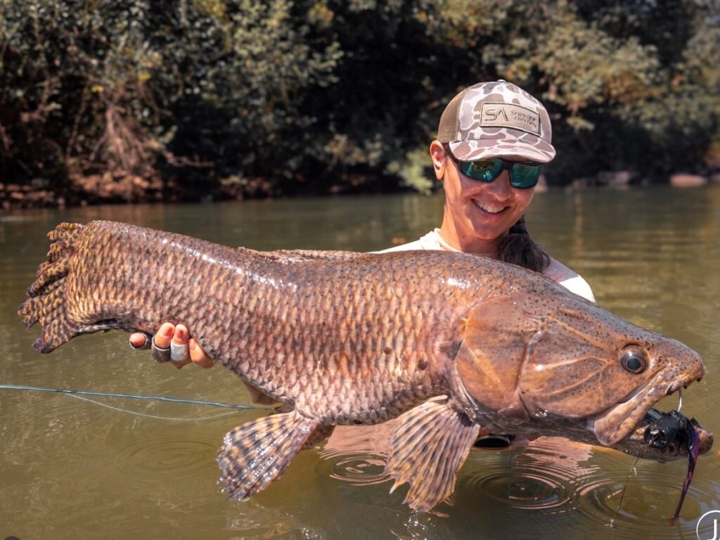 Brazil; 2025 season round up. Kendjam, Aardvark  McLeod 