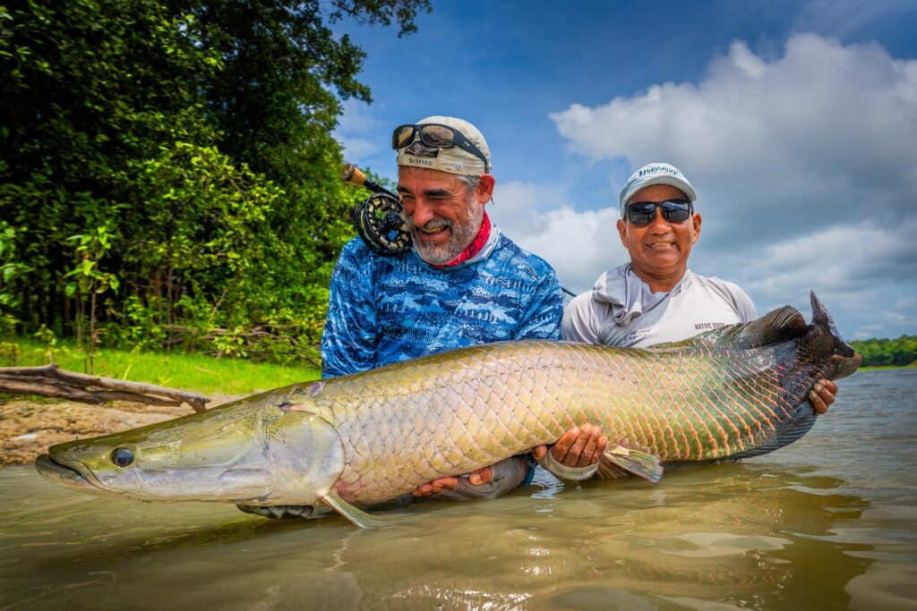 Brazil; 2025 season round up, Pirarucu,  Aardvark McLeod 