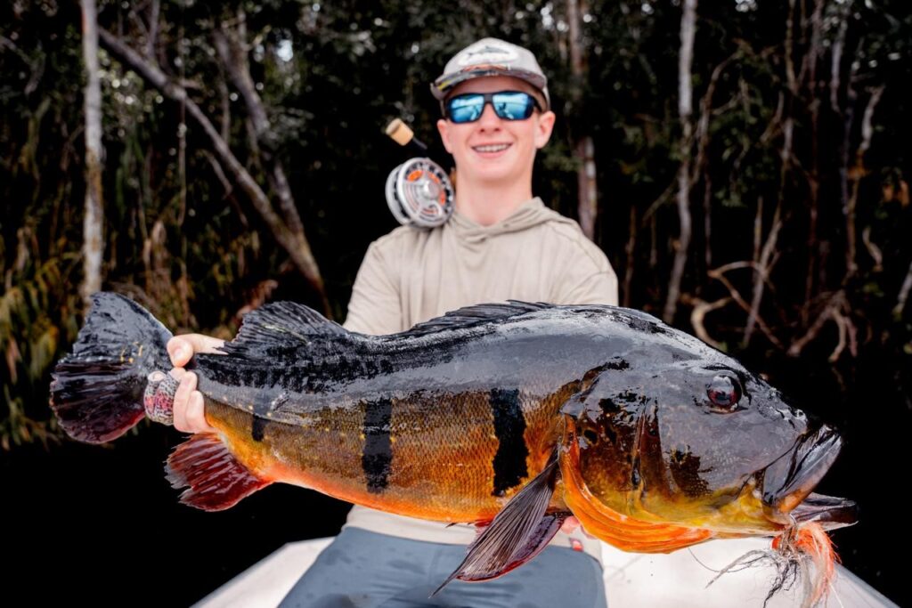Brazil, Peacock Bass, Rio Maire 2025 season fishing reports. 