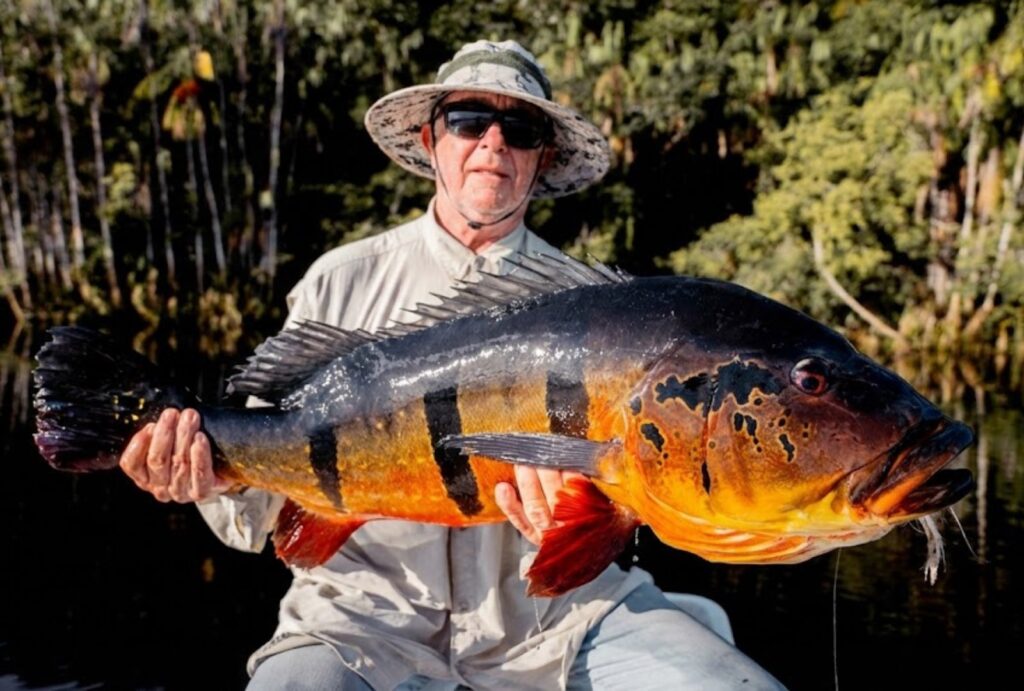 Brazil, Peacock Bass, Rio Maire 2025 season fishing reports.