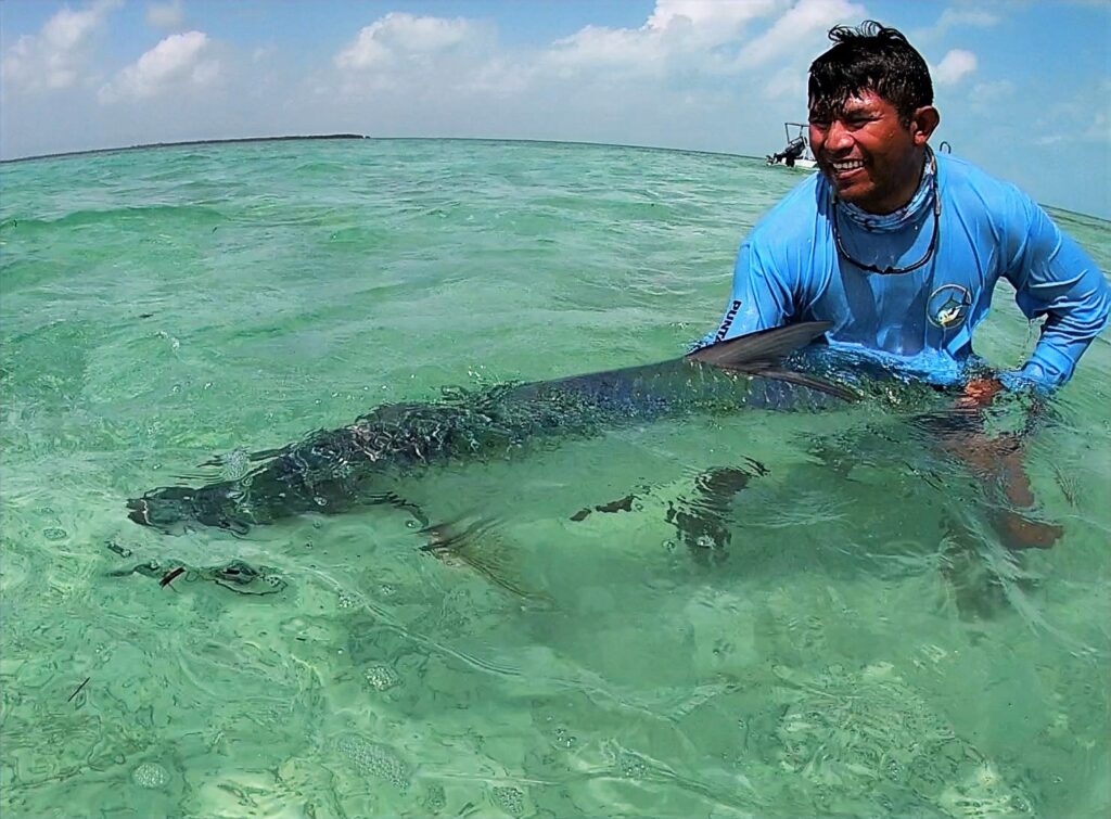 Punta Allen Fishing Club, the silver king is calling, tarpon, Mexico, Aardvark McLeod 