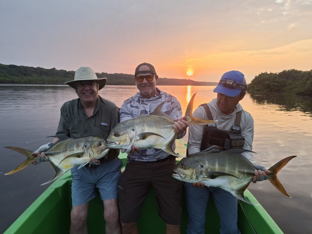 Gabon, Sette Cama a week in the wilderness, Aardvark McLeod 