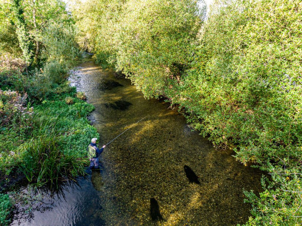 Wylye River, Aardvark McLeod 