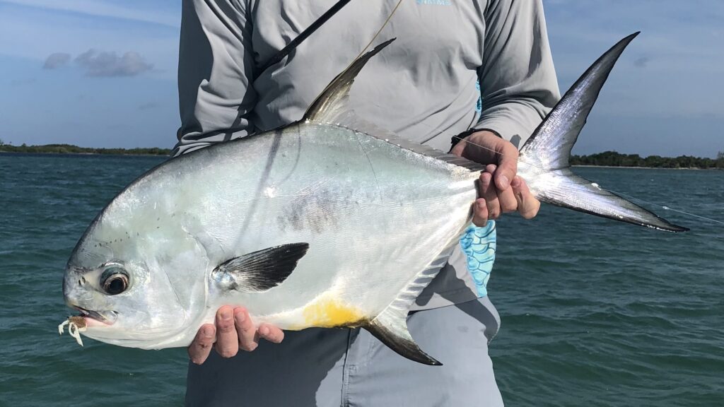 Beh Kay Lodge, Mexico, 2026 availability, permit, Aardvark  McLeod 