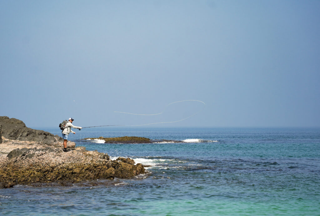 Hallaniyat Island, Oman, Aardvark McLeod