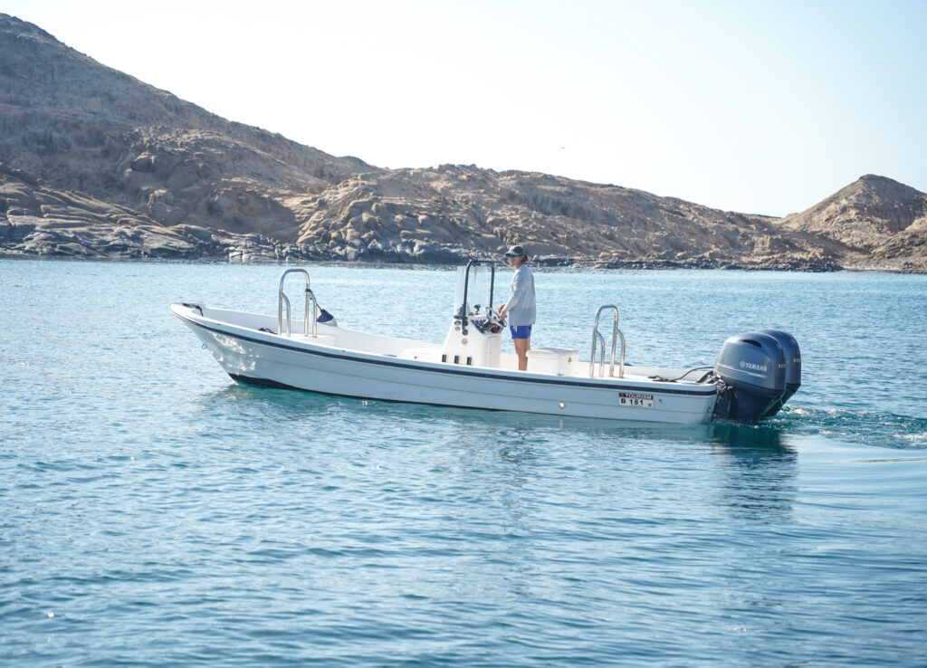Hallaniyat Island, Oman, Aardvark McLeod