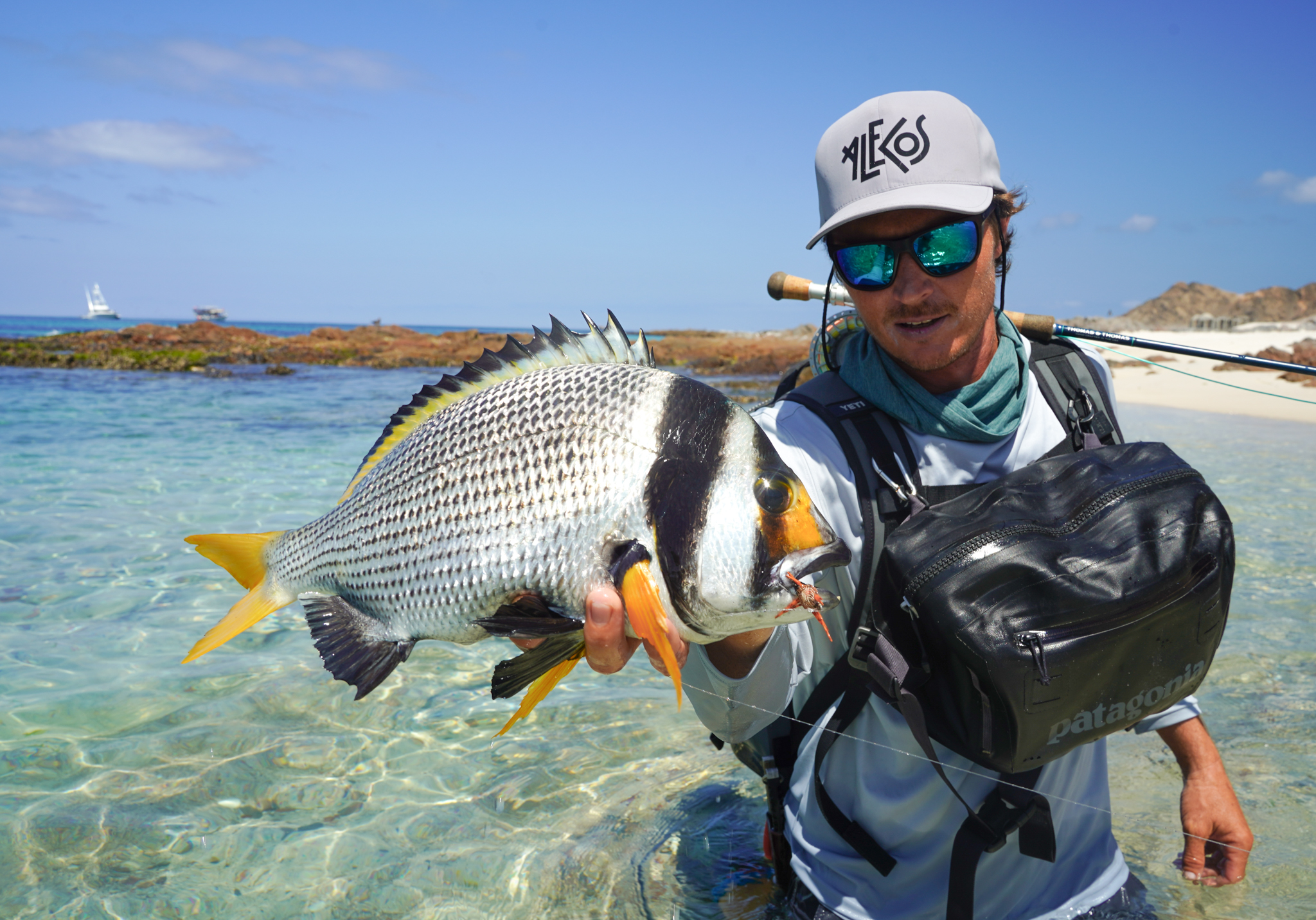 Hallaniyat Island, Oman, Aardvark McLeod