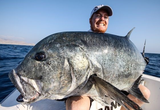 Hallaniyat Island, Oman, Aardvark McLeod