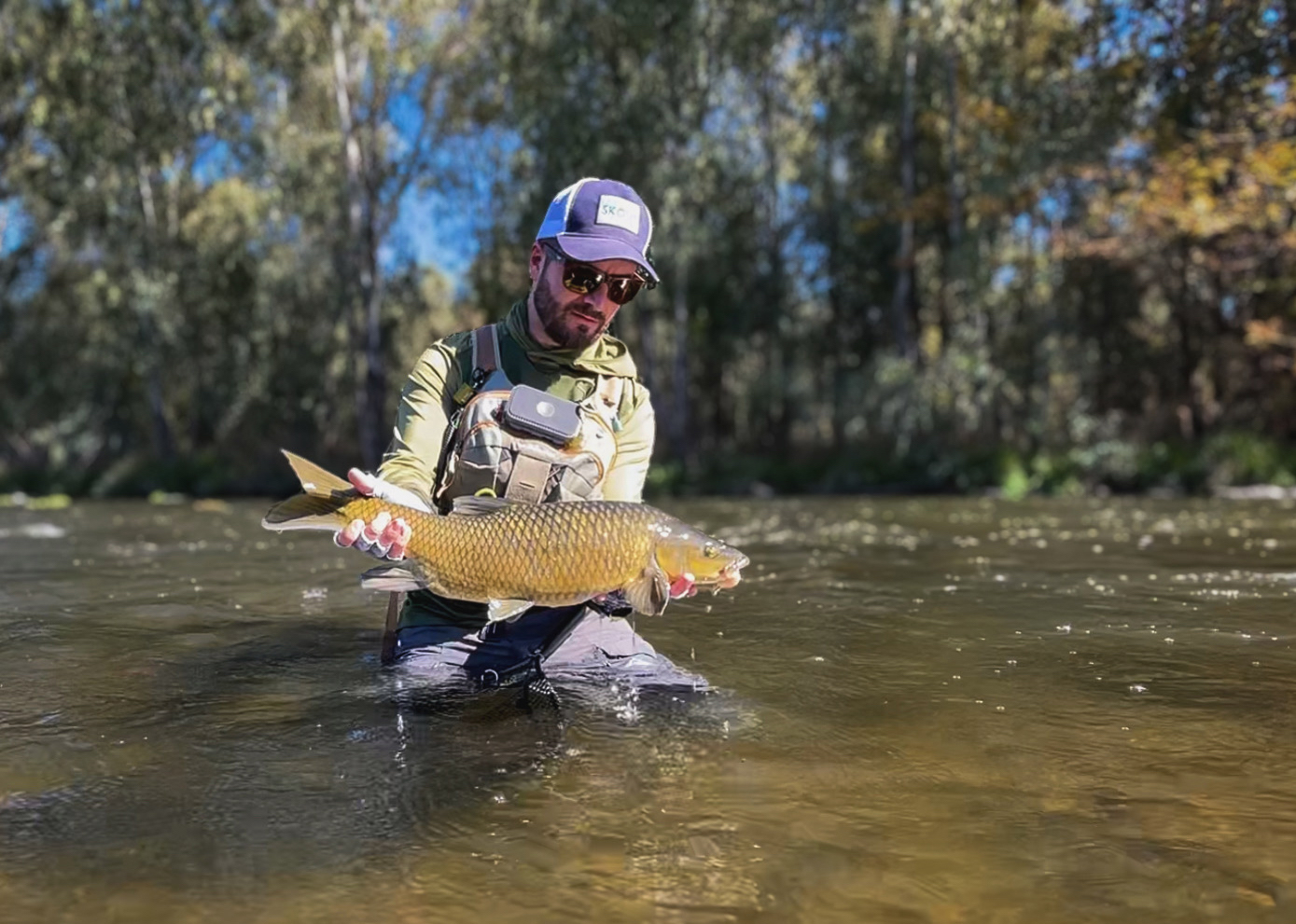 Yellowfish, South Africa, Vaal River