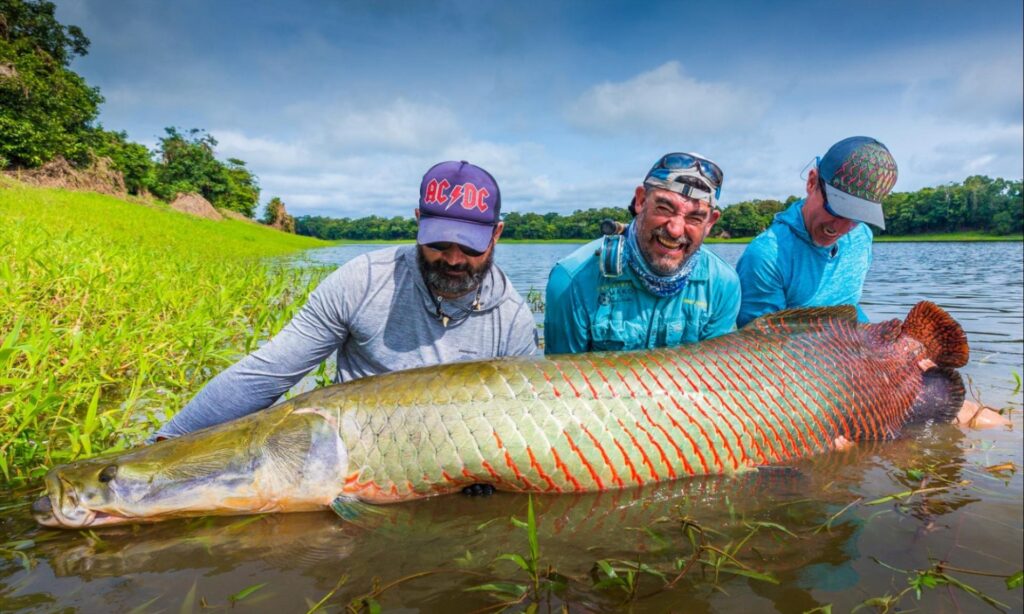 Last spots to fish the Amazon in 2026, Pirarucu, Aardvark McLeod 
