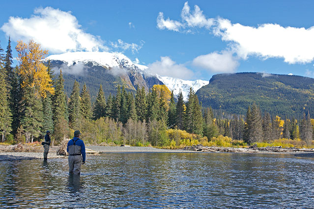 Nicholas Dean, Skeena, Aardvark McLeod