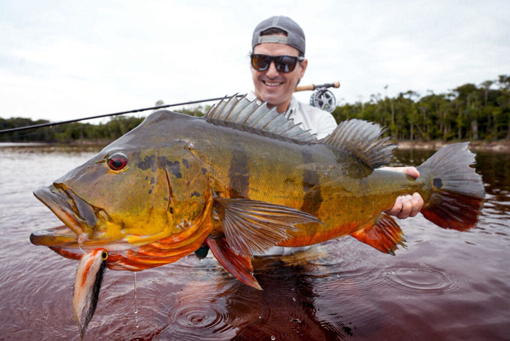 Brazil, peacock bass, Rio Marie, 2025 season round up, Aardvark McLeod 