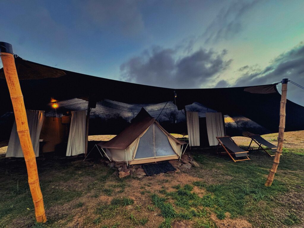 Shangaa Tigerfish, Tanzania, Aardvark McLeod