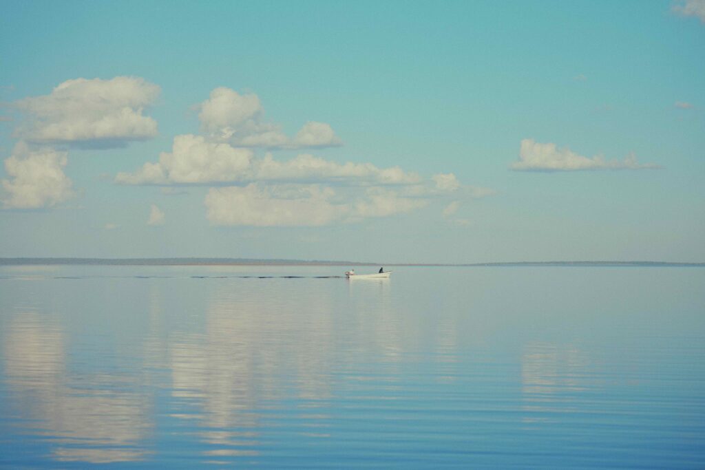 Shangaa Tigerfish, Tanzania, Aardvark McLeod