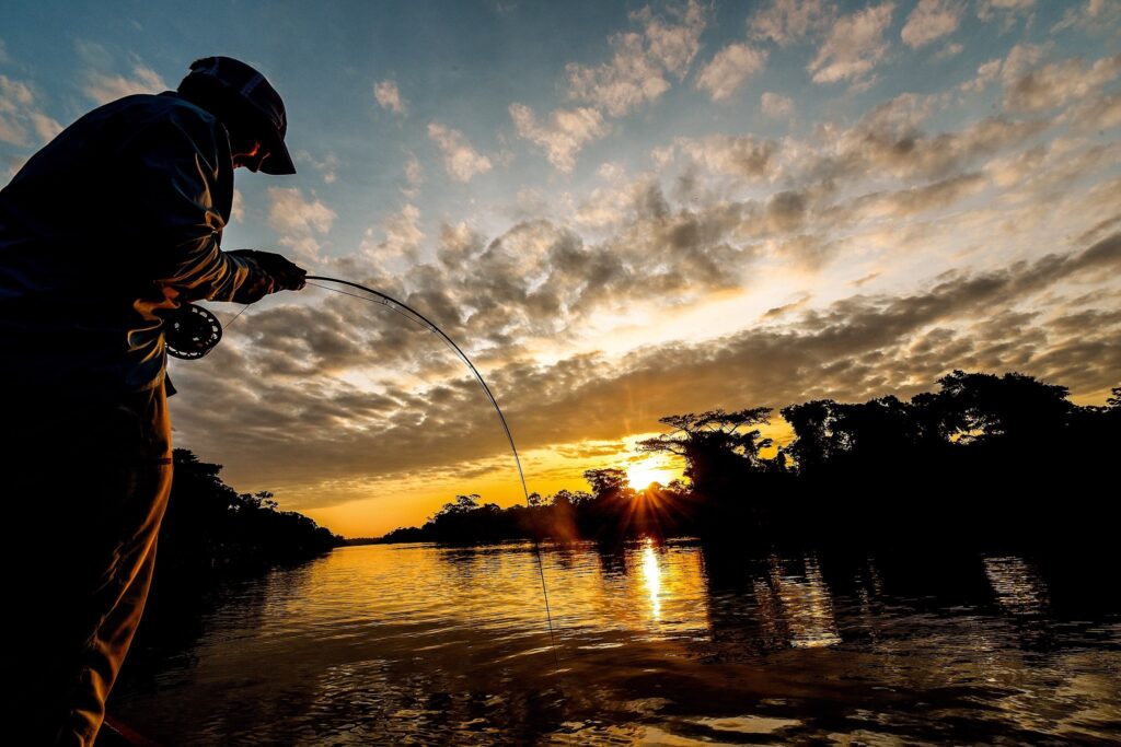 Nicaragua Tapam 2.0 season update and 2027 availability, Tarpon, Aardvark McLeod 