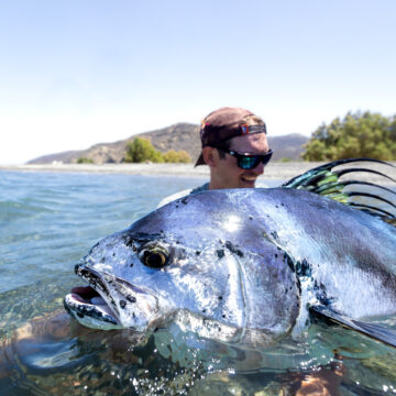 Roosterfish, Costa Rica, Aardvark McLeod