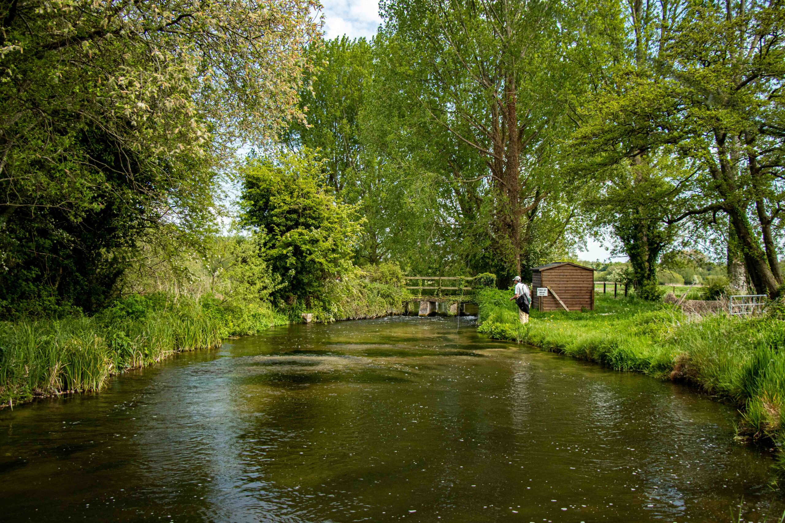 Last minute River Test, Wherwell Estate, Aardvark McLeod