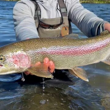 Alaska Trophy Adventure Lodge