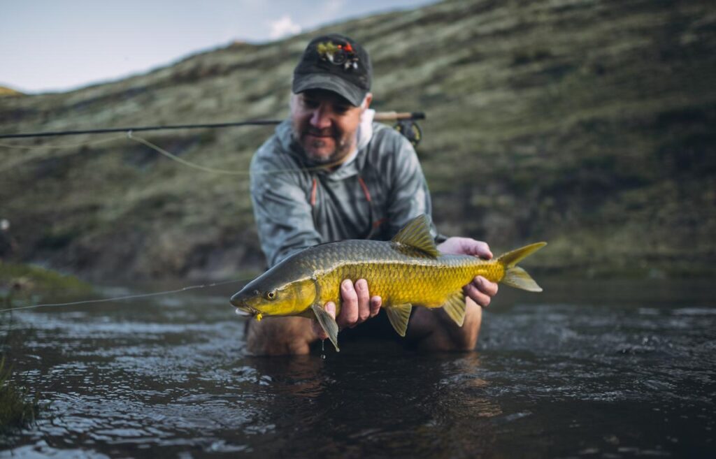 Lesotho, Makhangoa Community Camp, yellow fish, Aardvark McLeod