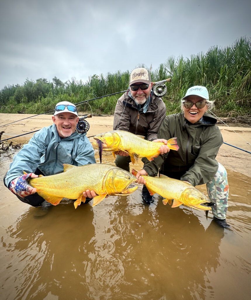Tsimane fishing reports 2026, Agua Negra, Sécure, Pluma rivers. 