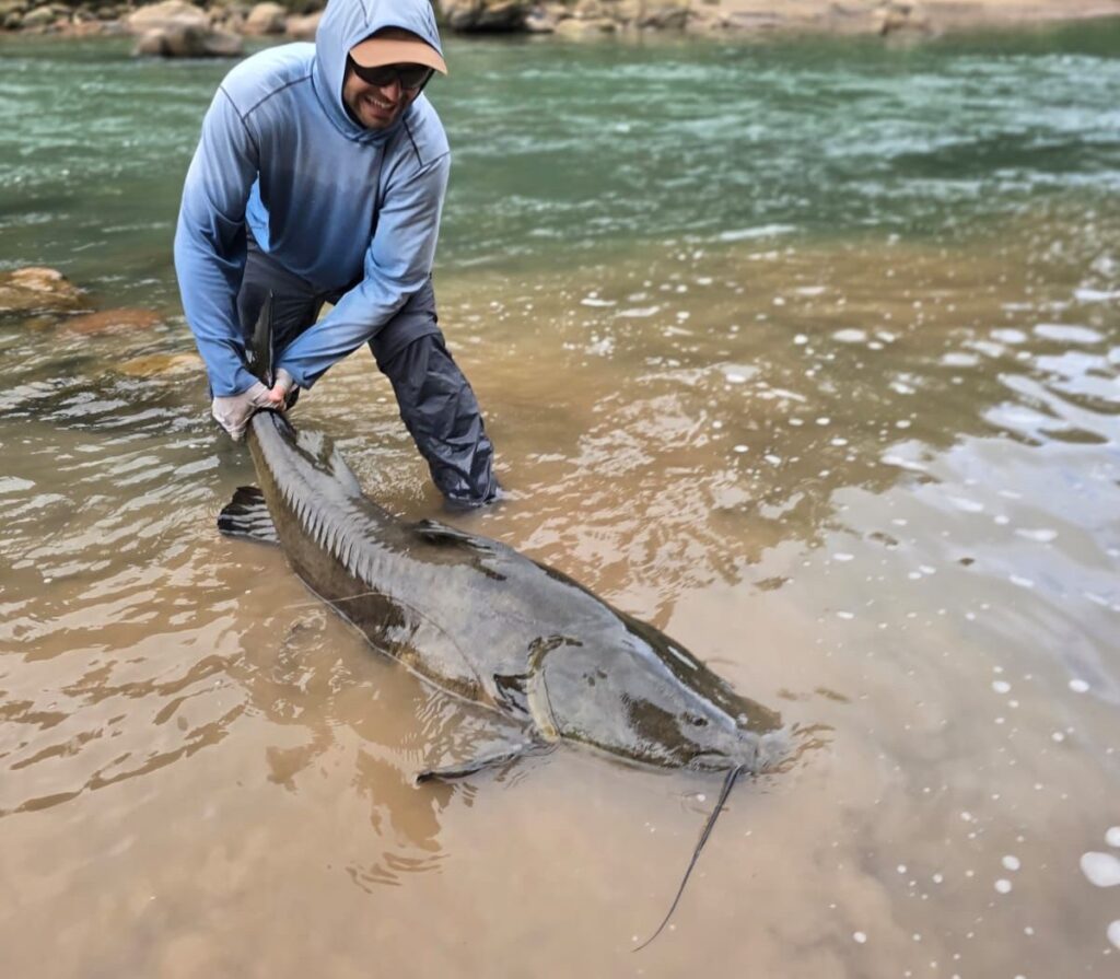 Tsimane fishing reports 2026, Agua Negra, Sécure, Pluma rivers. 